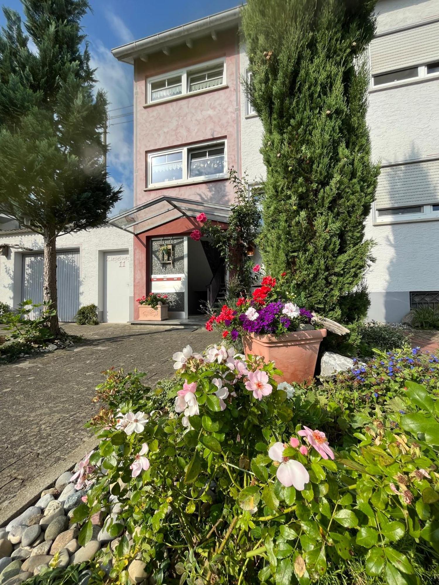 Schoene Wohnung, Bodenseenaehe Ravensbourg Extérieur photo
